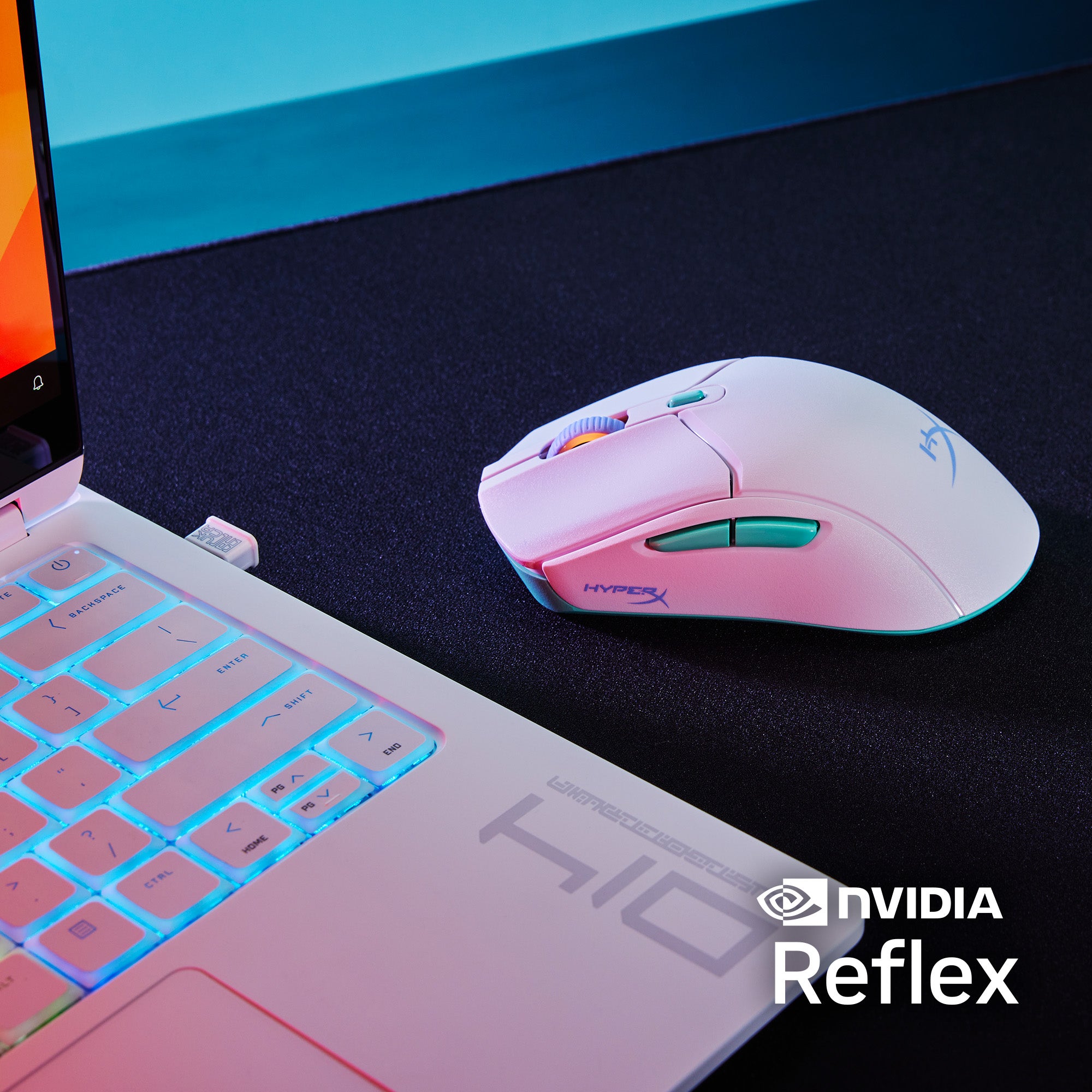 NVIDIA Reflex Validated